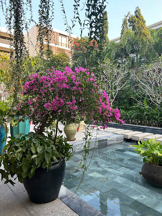 Gartenanlage Salinda Resort Phu Quoc Island