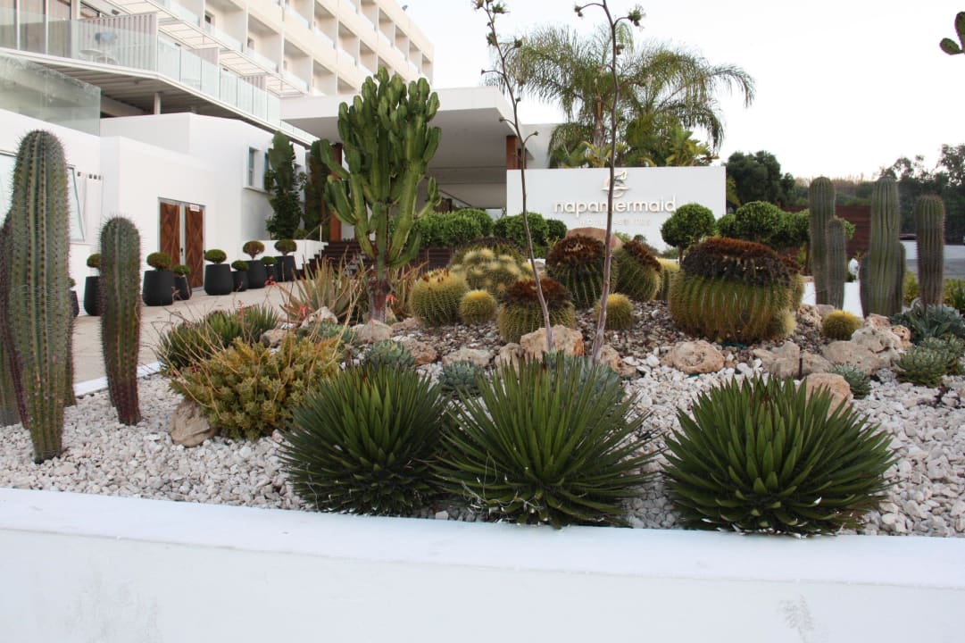 Zugang zum Hotel Napa Mermaid Hotel & Suites