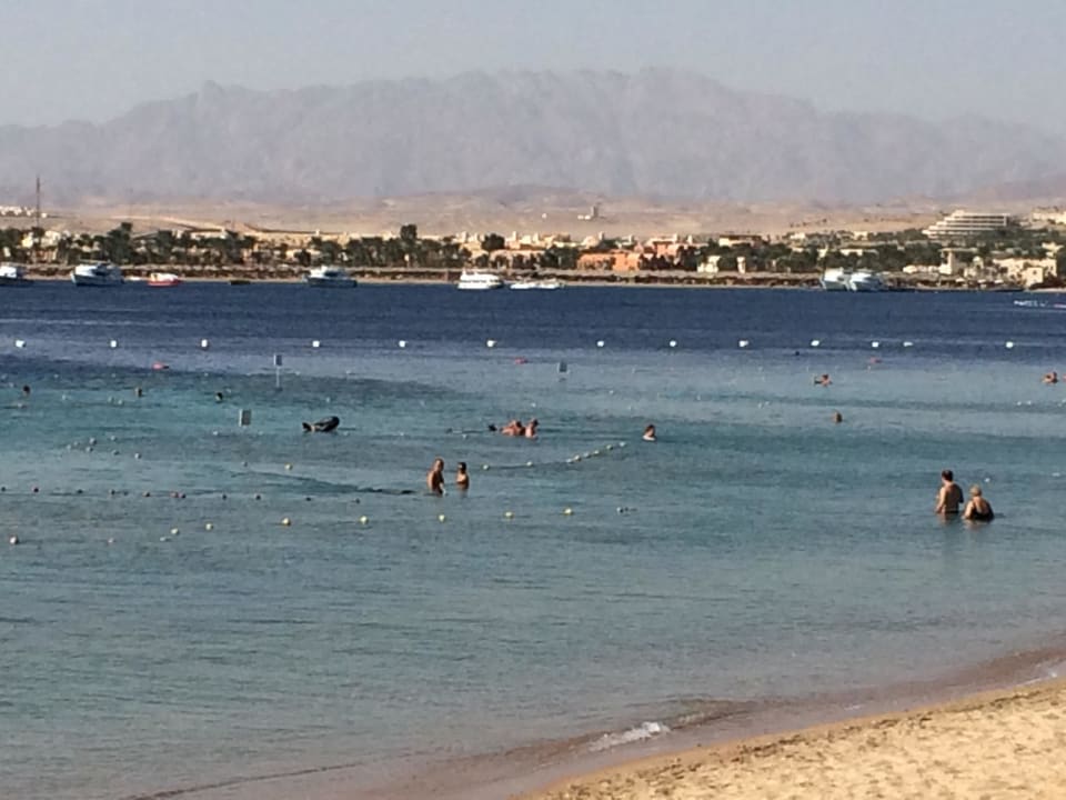 Blick vom Zimmer Makadi Spa - Adults only