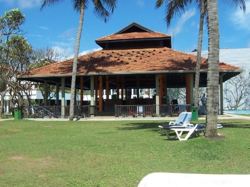 Bar Club Hotel Dolphin