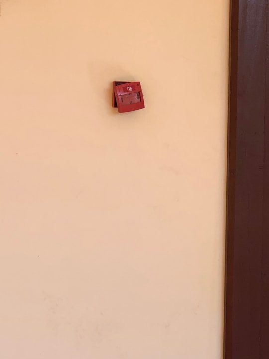 Lobby Regency Plaza Aqua Park & Spa