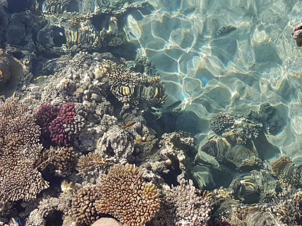 Sport & Freizeit Cleopatra Luxury Resort Makadi Bay