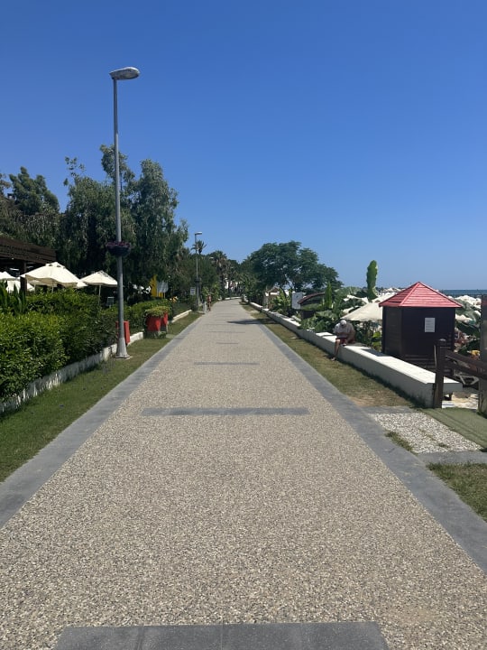 Sonstiges Arum Barut Collection