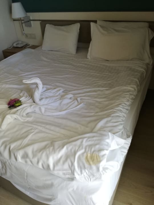 Zimmer Castival Hotel