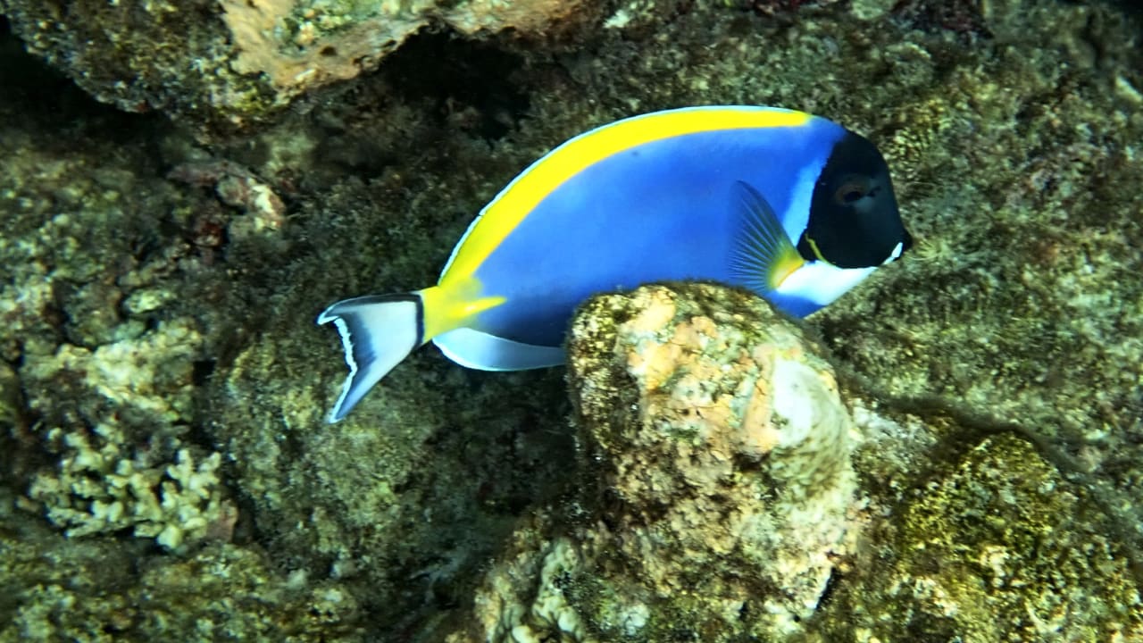 Sport & Freizeit ROBINSON MALDIVES