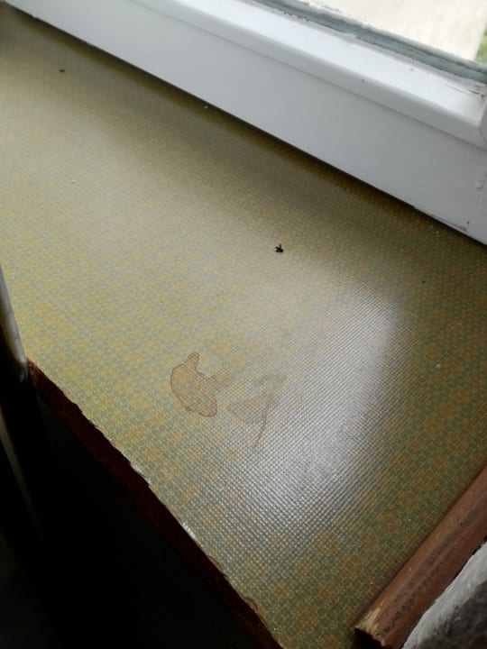 Zimmer Hotel Spreewitz am Kurfürstendamm