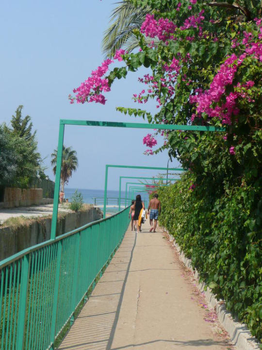 Weg zum Strand My Home Resort