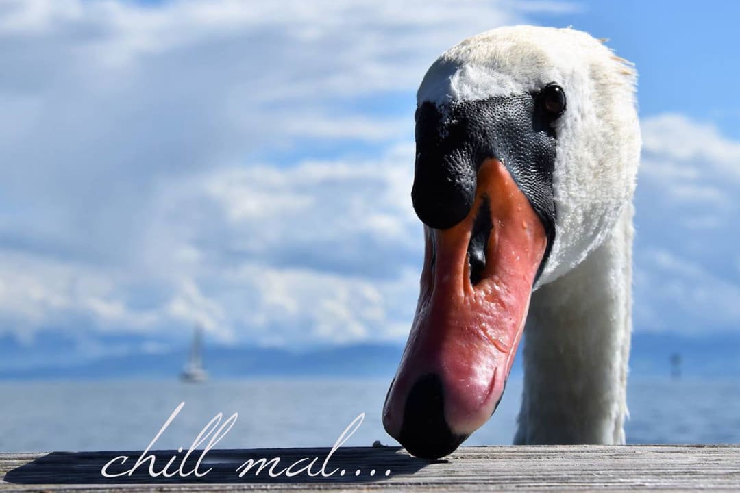 Strand Hotel Strandhaus Eberle