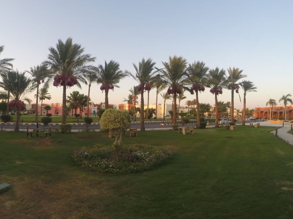 Gartenanlage SUNRISE Royal Makadi Resort