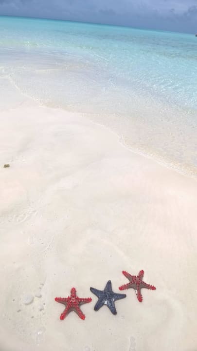 Drei Sterne - One Vision - One Soul - One World Royal Zanzibar Beach Resort