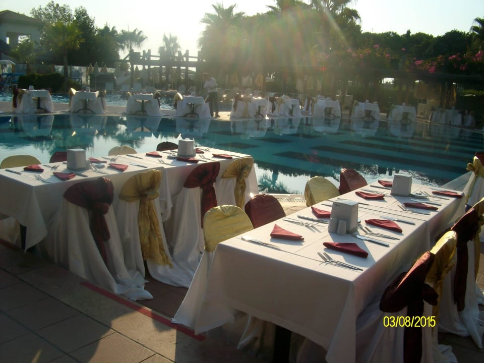 Galaabend Trendy Palm Beach (Adults Only, 16+)