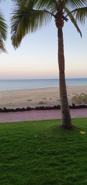 Zimmer Iberostar Selection Fuerteventura Palace