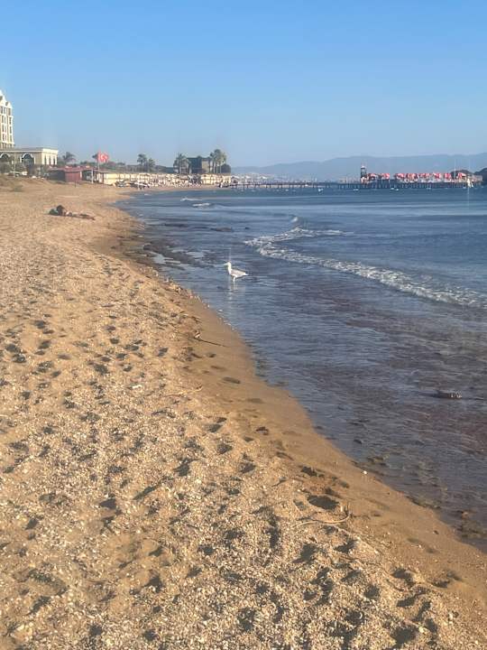 Strand Notion Kesre Beach & Spa