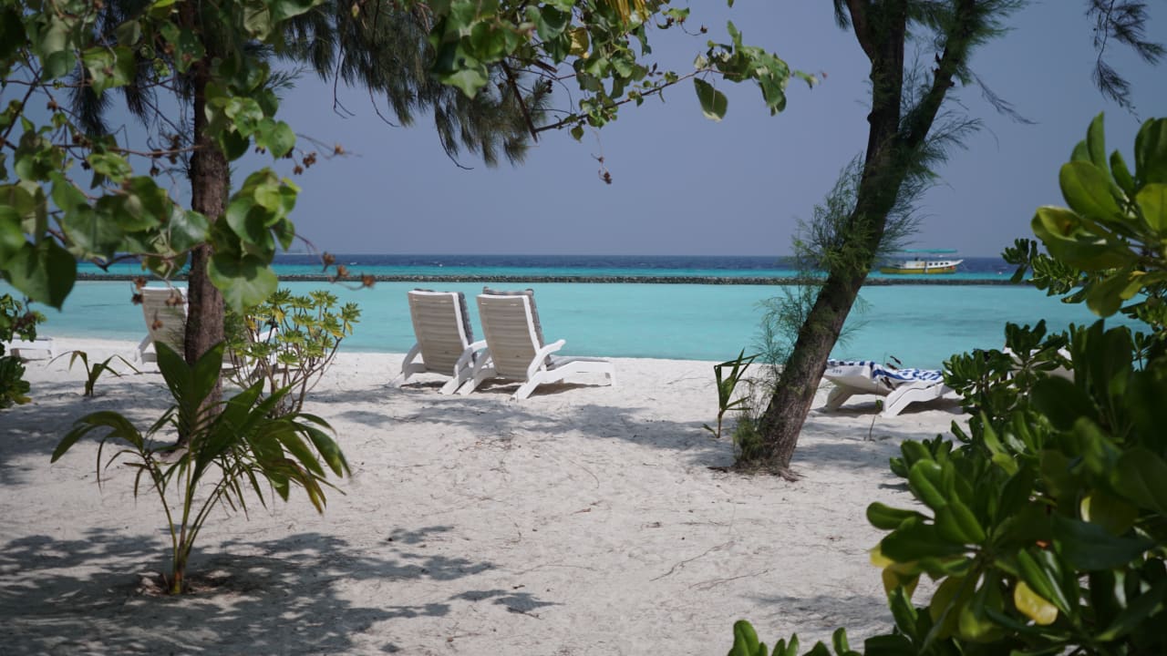 Strand Summer Island Maldives
