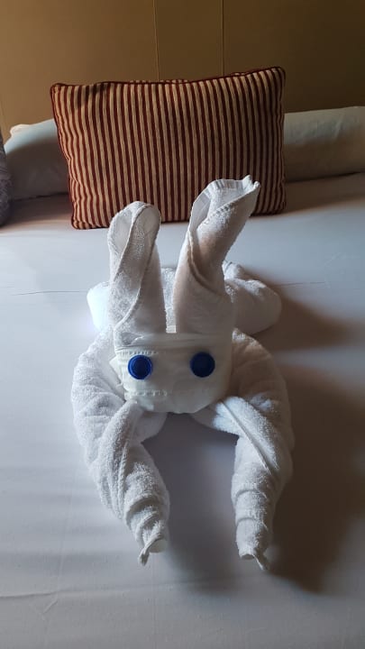 Zimmer Jaz Makadi Oasis Resort