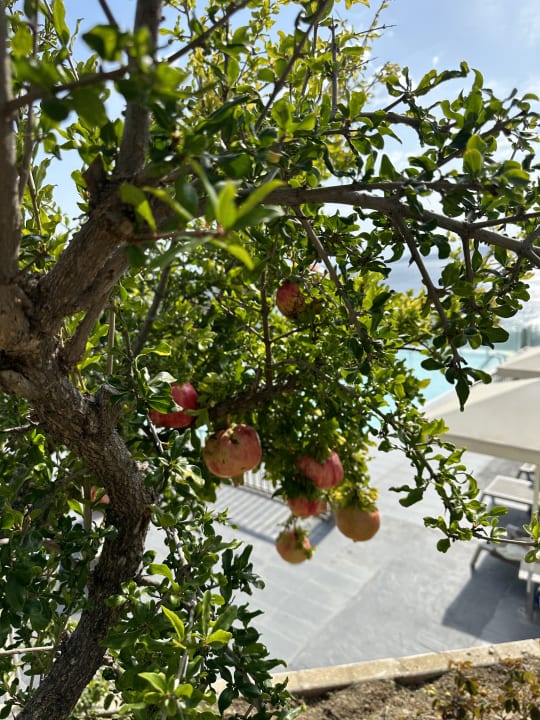 Ausblick Akrathos Beach Hotel