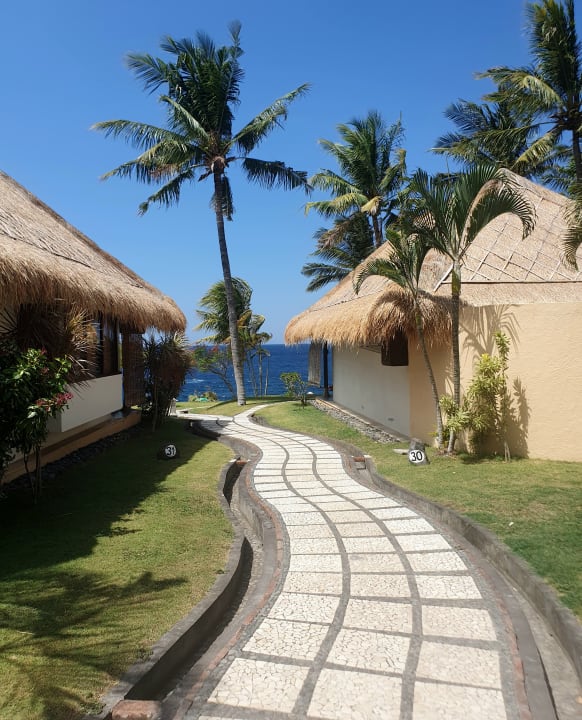 Gartenanlage Siddhartha Ocean Front Resort & Spa