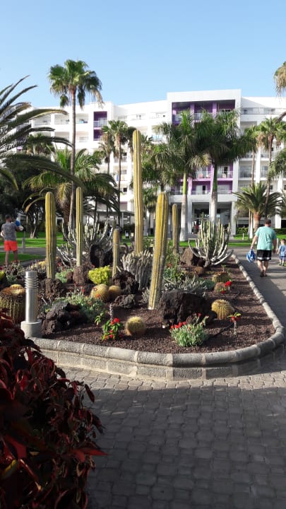 Gartenanlage Hotel Riu Gran Canaria