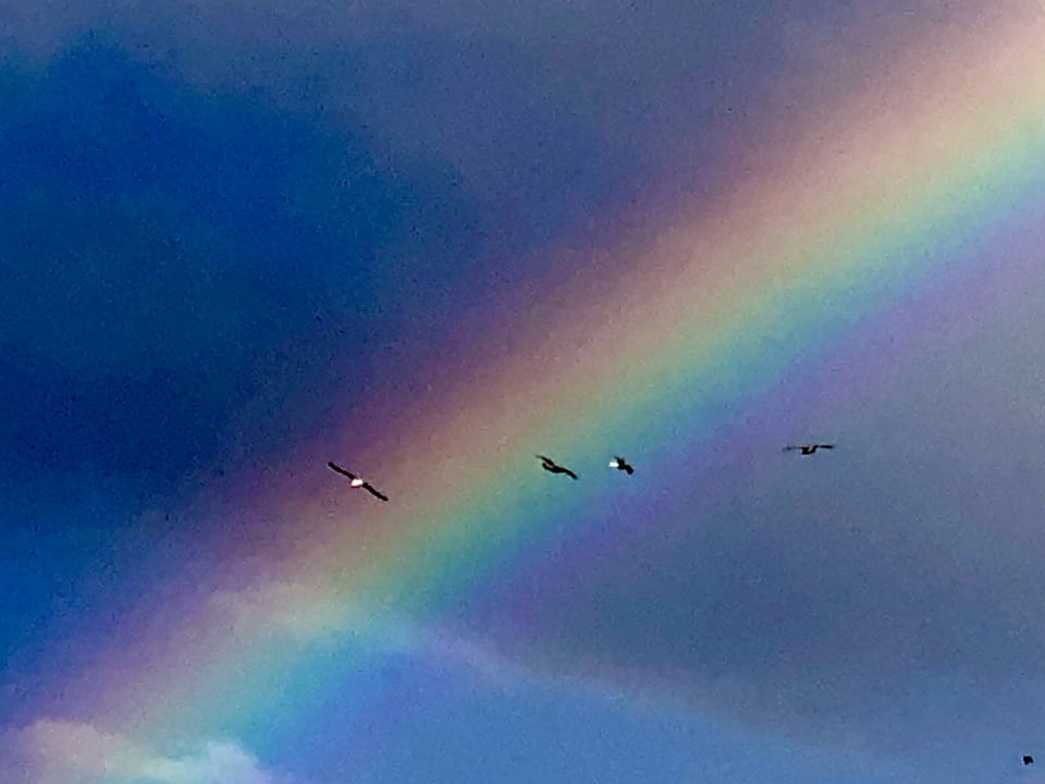 Ausblick Hotel Marinella