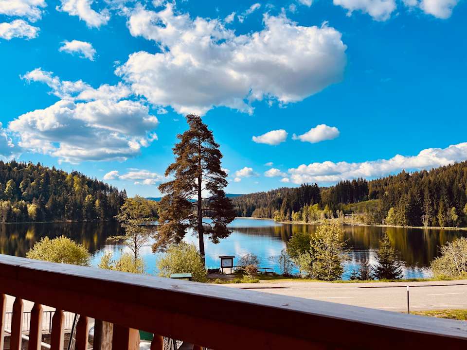 Ausblick Köhlerei am See