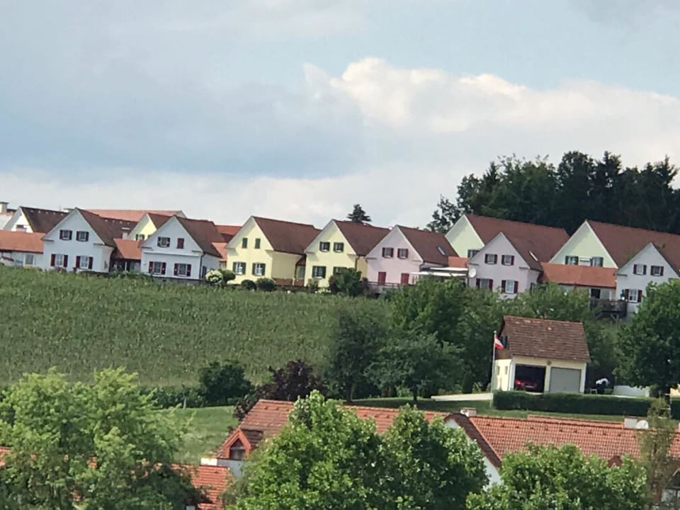 Ausblick Wilfinger Bio Thermen Hotel