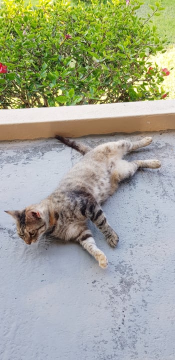 Sonstiges Pension Victoria