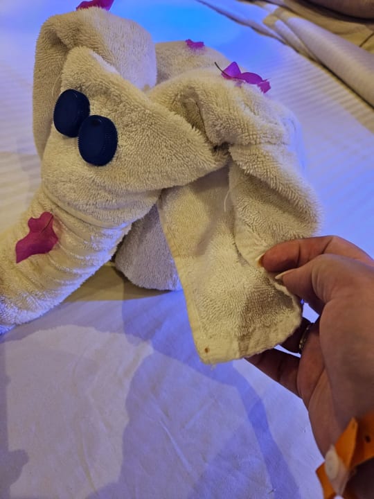 Zimmer Grand Waterworld Makadi & Family Star Makadi