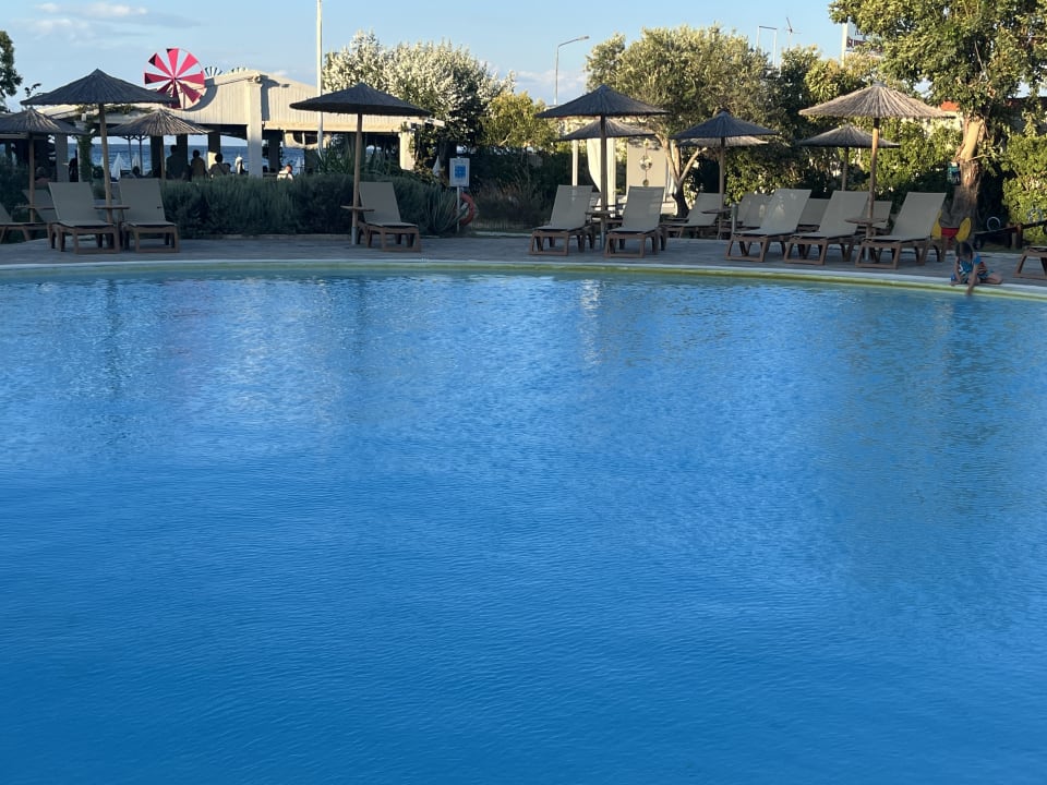 Pool Hotel Albatros