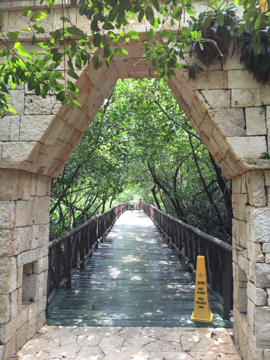 Gartenanlage Catalonia Royal Tulum Beach & Spa Resort - Adults only