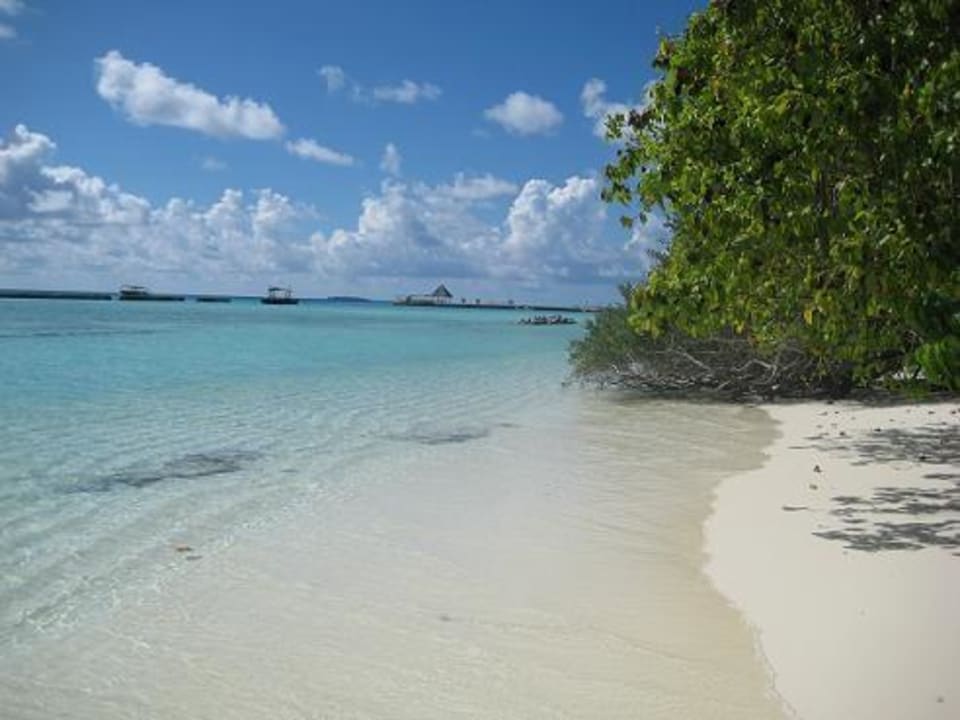 Strand Summer Island Maldives