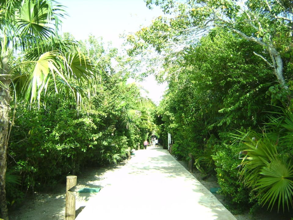 Hauptweg Catalonia Playa Maroma