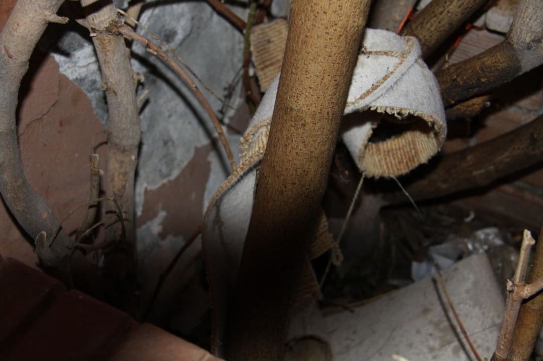 Blick auf die Müllhalde am Balkon Polat Thermal Hotel