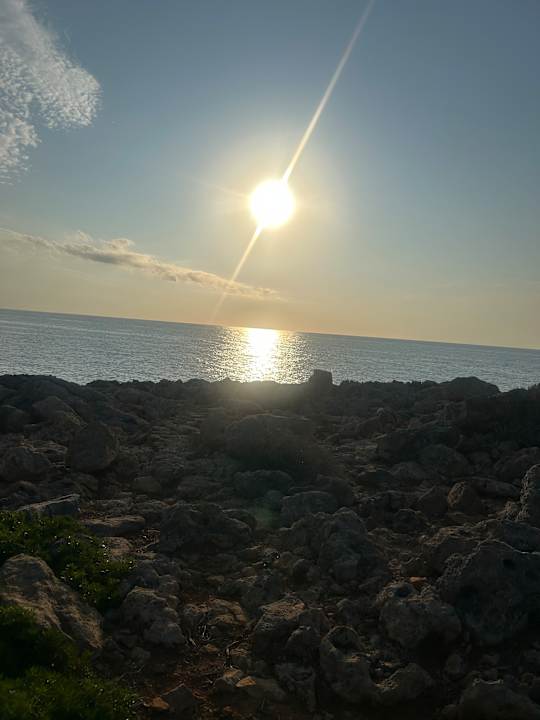 Ausblick Iberostar Waves Pinos Park