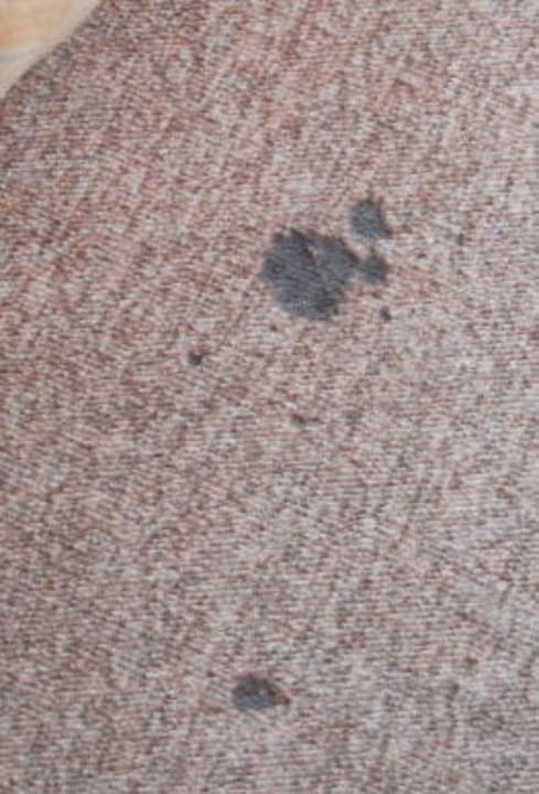 Teppichboden Hotel Bayerischer Wald