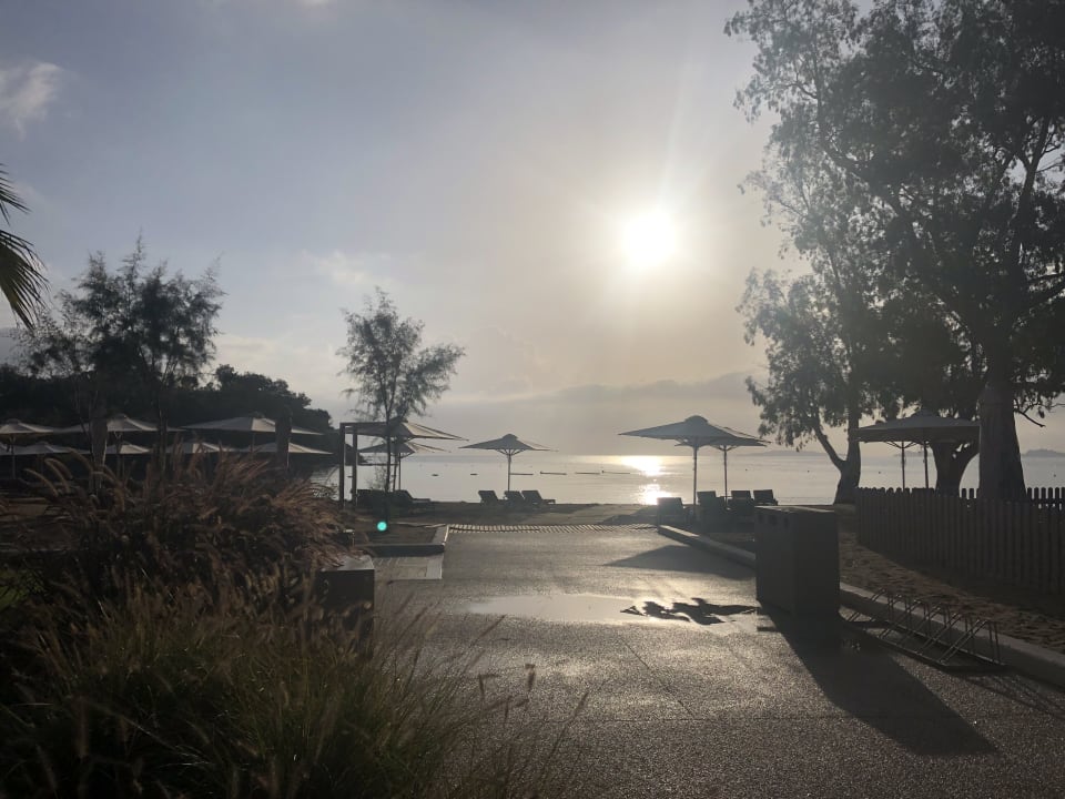 Ausblick Ikos Odisia