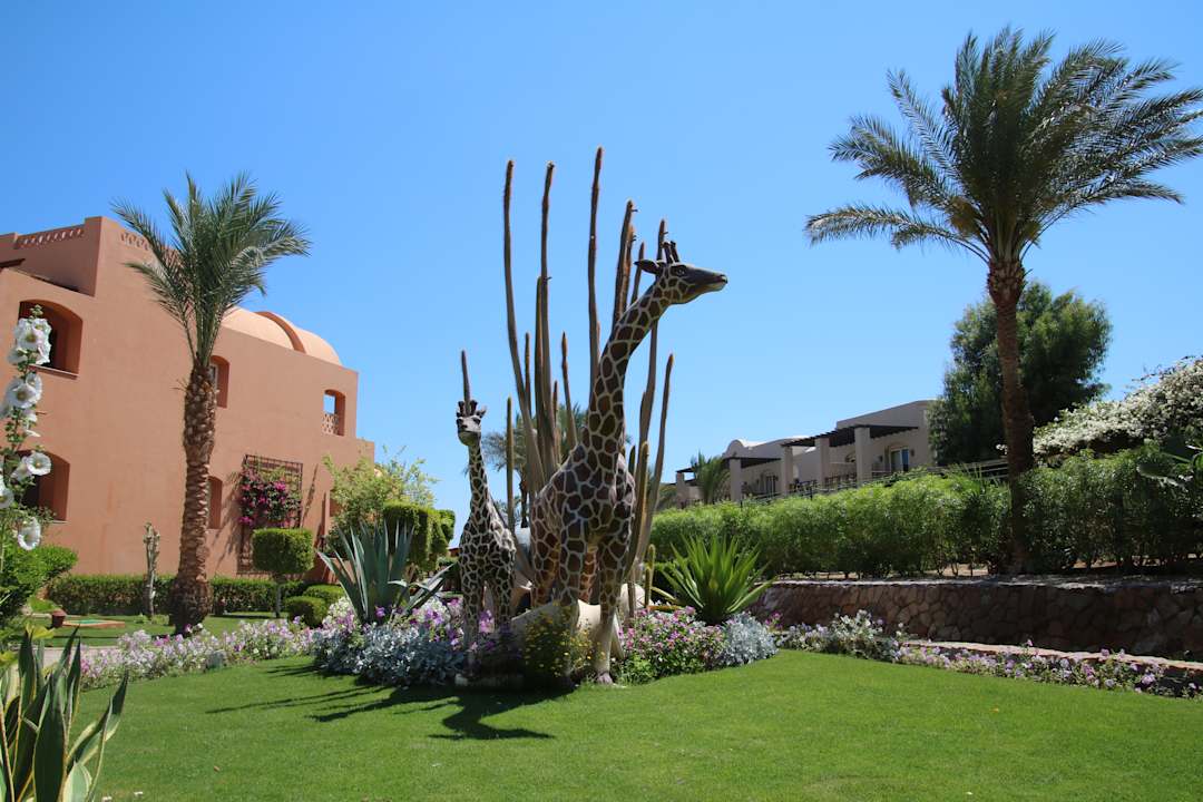 Gartenanlage Jaz Makadi Saraya Resort