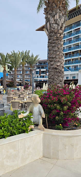 Ausblick Granada Luxury Okurcalar