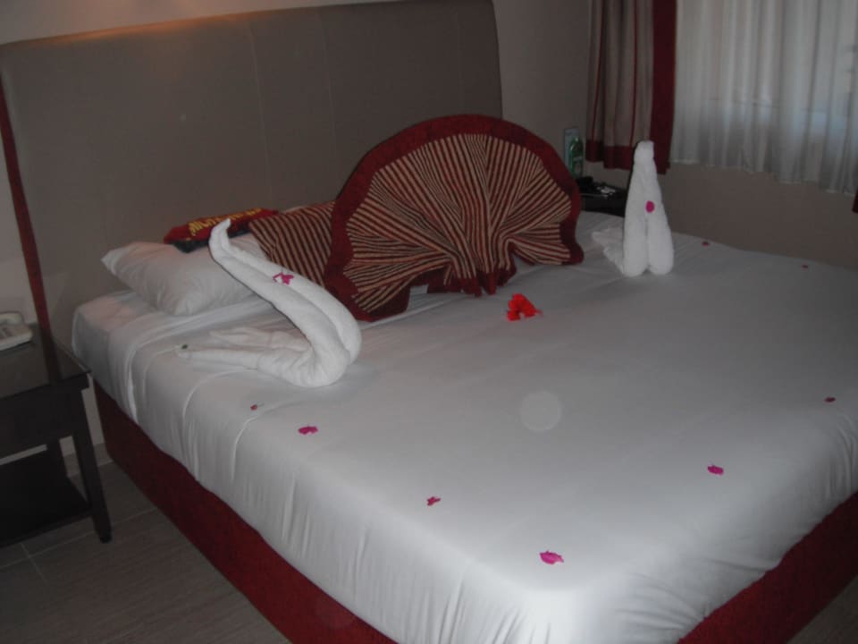 Wilde Tiere Jaz Makadi Oasis Resort