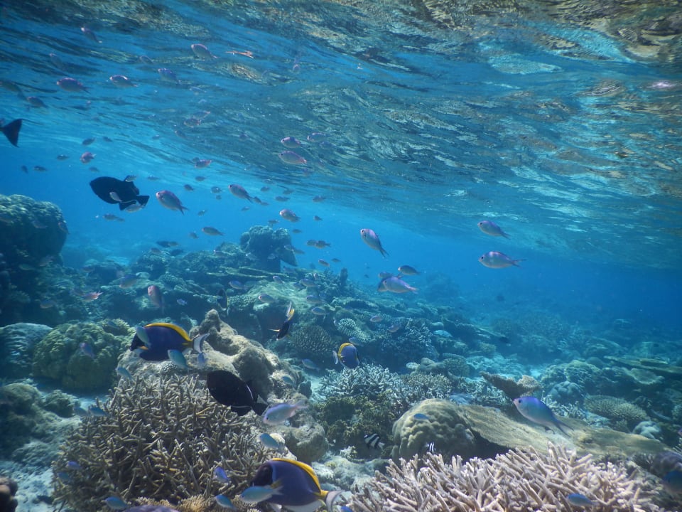 März 2016 Fihalhohi Maldives