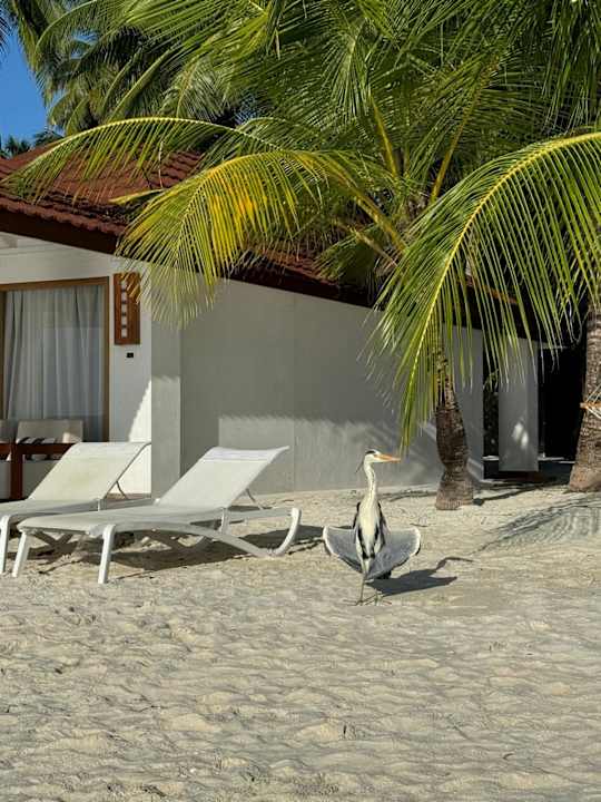 Außenansicht ananea Diamonds Athuruga