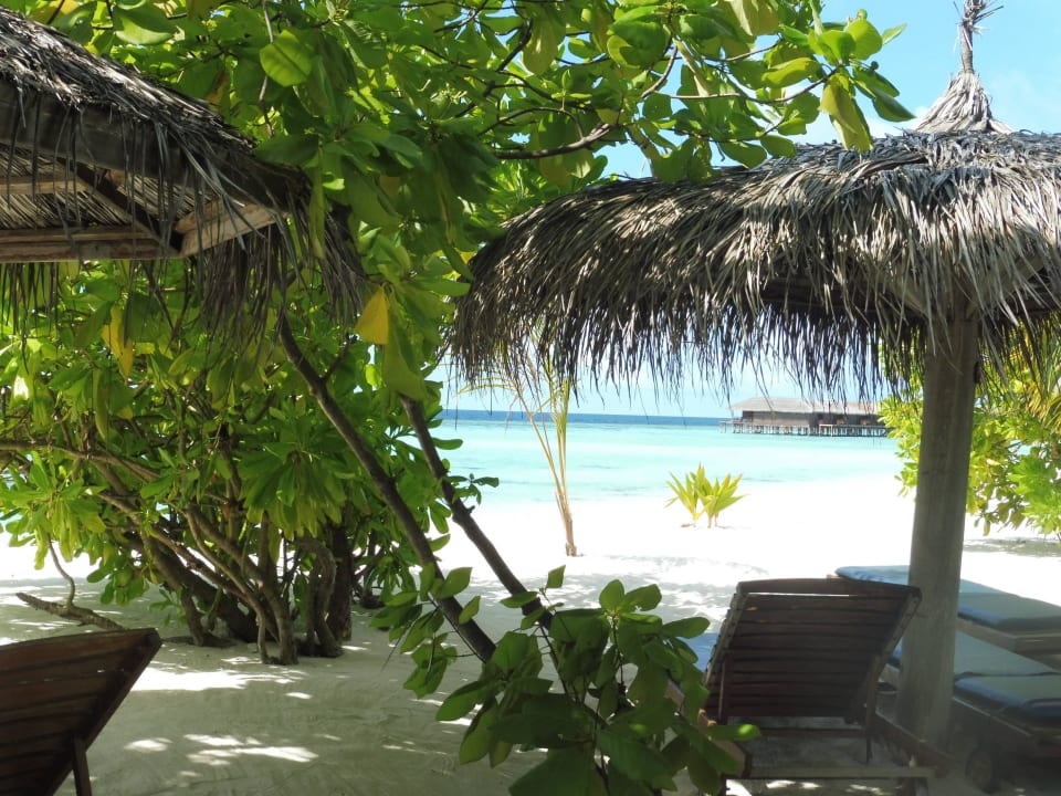 Liegen Höhe Nr. 3/4 Filitheyo Island Resort
