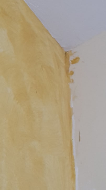 Zimmer Hotel Prinz Carl