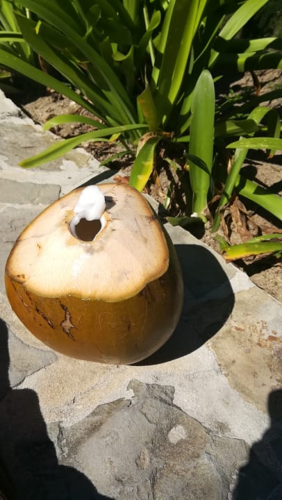 Sonstiges Grand Palladium Select Bávaro Resort & Spa