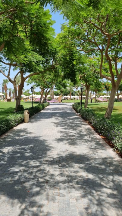 Gartenanlage Steigenberger ALDAU Beach Hotel