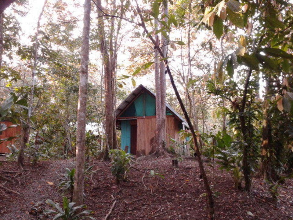 Bungalow Morphy, Aussen Bungalows Cacao Monkeys