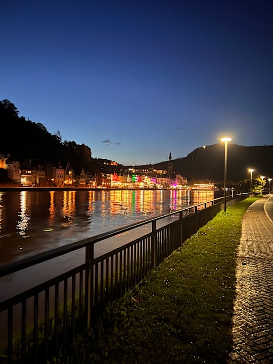 Ausblick Moselstern Hotel Brixiade & Triton