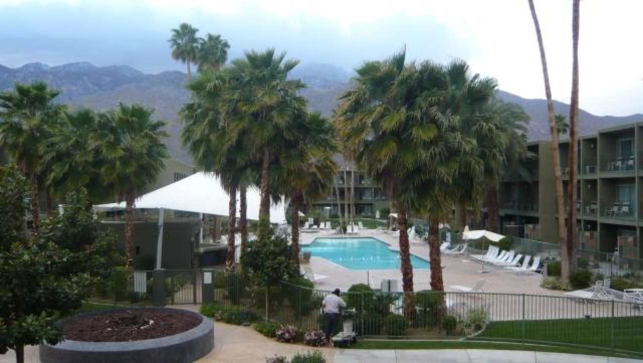 Blick auf den Pool Joie de Vivre Hotel The Saguaro Palm Springs