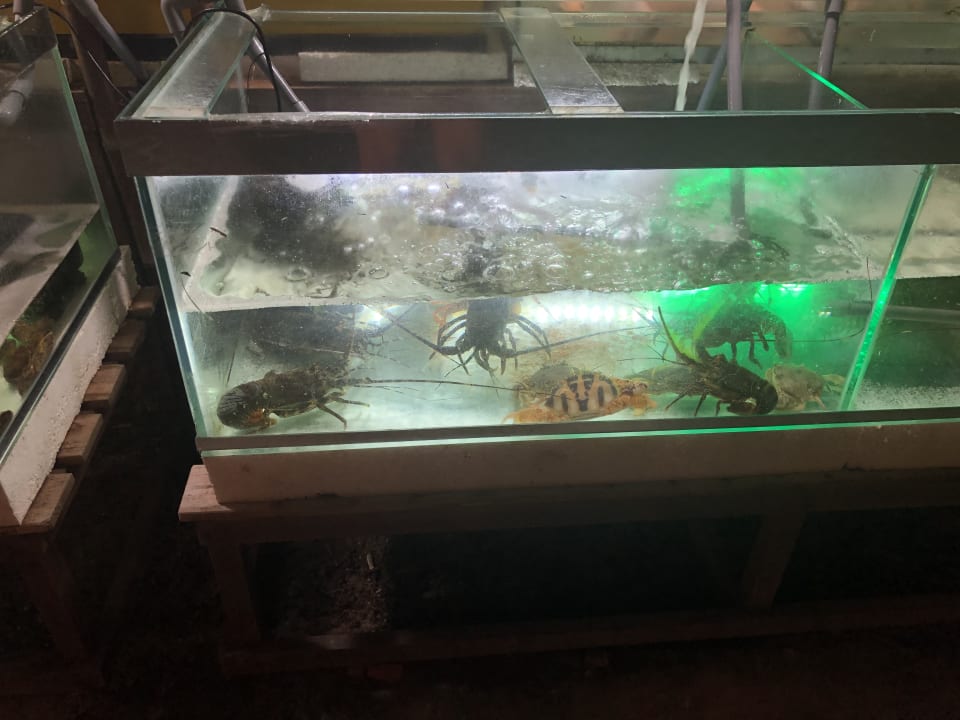 Gastro Hotel Muine Bay Resort