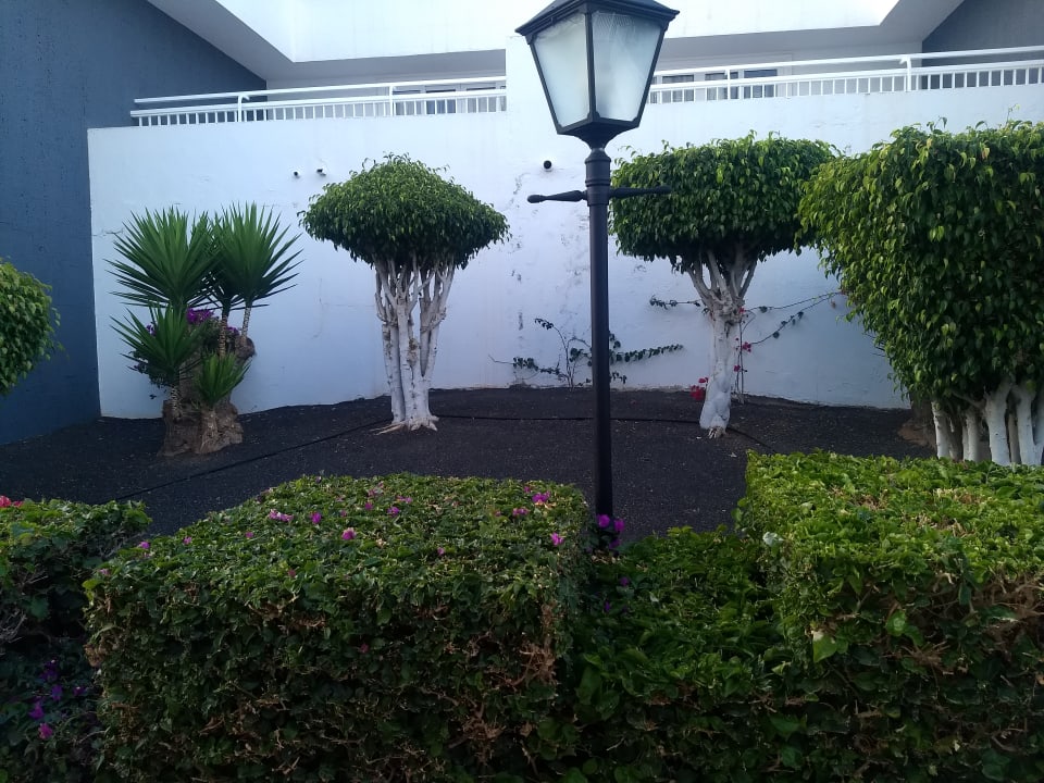 Gartenanlage Hotel Riu Paraiso Lanzarote
