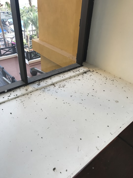 Lobby Occidental Jandía Royal Level - Adults only